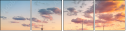 34501514