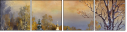 36305607
