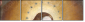 36593697