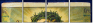 36632692
