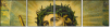 36638994