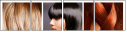 36982538