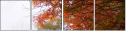 384414