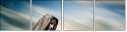 38998261