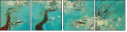 39414869