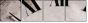 3950638