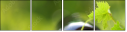 4185786