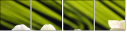 42014292