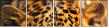 42852431