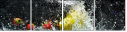 43487877
