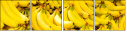 43501685