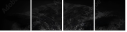 43647000