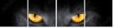 44285895