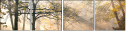 44630410
