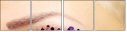 44695415