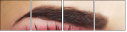 45479444