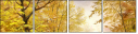 45637975