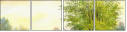 45638383