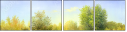 45638836