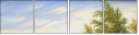 45639773