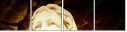 46116089