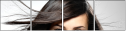 46412466