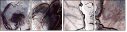 46957513