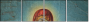 47807225