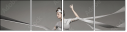 47917557