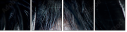 48588820