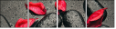 49357610