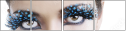 49636323