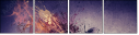 49982340