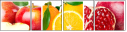 50410556