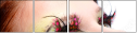 50908803
