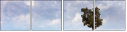 5101638