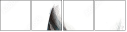 51554191
