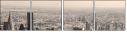 51946317
