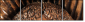 52004103