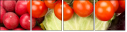 52069748