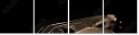 5221137