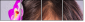 52845719