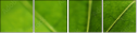 53517860