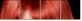 53895869