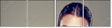 54860038