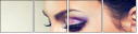 54860366