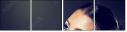 55283946