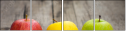 55484611