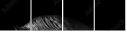 55501476