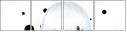55595191